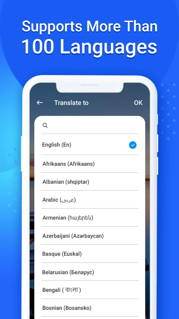 translator screenshot